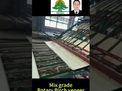 রোটারি বিড়াল ফিনিয়ারের পুরো আকার 0.5 মিমি বেধ মিশ্র গ্রেডের জন্য 2600 * 1300 মিমি আকার