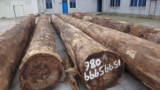 স্তরিত সান্টোস রোজউড কাঠের ভিনিয়ার ক্রাউন গ্রিন বেধ কাস্টমাইজ করা যায় 0.15-1.8 মিমি জন্য জন্য মন্ত্রিসভা মুখ