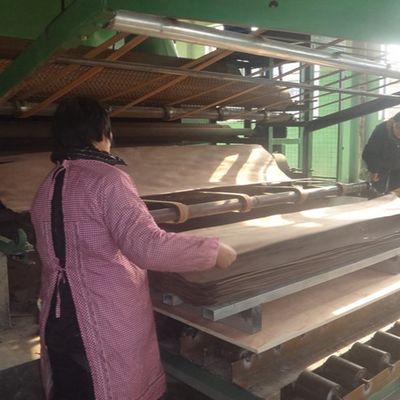 সিমুলেশন ন্যাচারাল আমেরিকান হোয়াইট OAK X024N কাঠের ব্যহ্যাবরণ শীট দরজা এবং উইন্ডোজ ISO এর জন্য