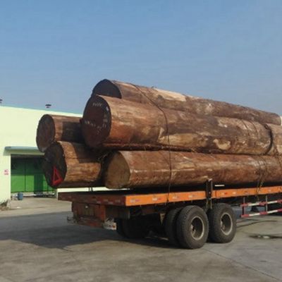 পুনর্গঠিত কম্পোজিট আবলুস কাঠের ব্যহ্যাবরণ X812 স্ট্রেইট কাট লাইট কালার ফ্লিসড ব্যাক দরজার জন্য কাস্টমাইজড পরিষেবা