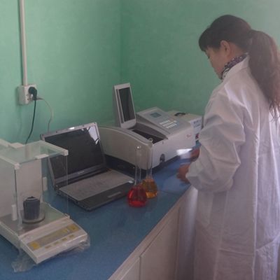 ফ্যান্সি ব্ল্যাক পার্ল উড ভেনিয়ার BP-X2003 (N) নতুন ডিজাইন ৩100 মিমি দৈর্ঘ্য কাঠের দরজার স্কিনের জন্য