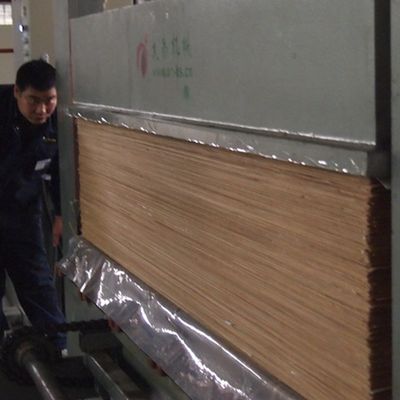 0.45 মিমি ইঞ্জিনিয়ারড কাঠের ভিনিয়ার শীট অফ ব্ল্যাক পার্ল বিপি-এক্স 8003 দেয়াল প্যানেলের মুখের জন্য সোজা শস্য