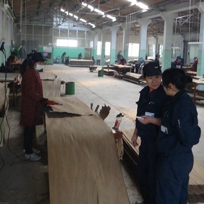 ফ্যান্সি ব্ল্যাক পার্ল উড ভেনিয়ার BP-X2003 (N) নতুন ডিজাইন ৩100 মিমি দৈর্ঘ্য কাঠের দরজার স্কিনের জন্য