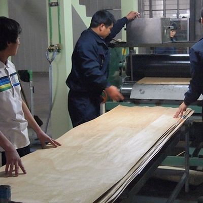 0.45 মিমি ইঞ্জিনিয়ারড কাঠের ভিনিয়ার শীট অফ ব্ল্যাক পার্ল বিপি-এক্স 8003 দেয়াল প্যানেলের মুখের জন্য সোজা শস্য