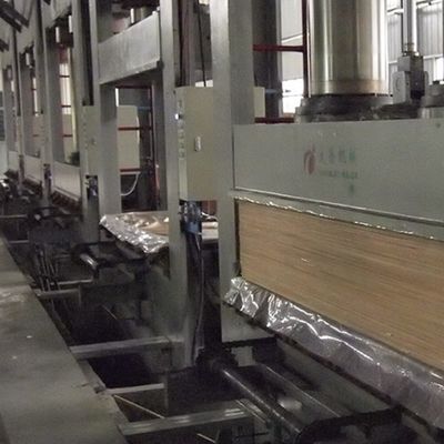 গ্রে উইং ইঞ্জিনিয়ারড কাঠের ফিনিয়ার 3100 মিমি দরজা প্যানেলের জন্য GW-X0133