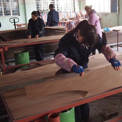 গ্রে উইং ইঞ্জিনিয়ারড কাঠের ফিনিয়ার 3100 মিমি দরজা প্যানেলের জন্য GW-X0133