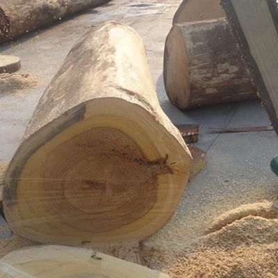 ধূমপান Sapele Pommele ইঞ্জিনিয়ারড ওক ভিনিয়ার বেধ 0.18-0.6mm জন্য ওয়াল প্যানেল