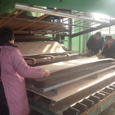 সিলভার ট্রি রিং S.TR-X229 স্ট্যান্ডার্ড সাইজ 2500 * 640mm ফ্যান্সি প্লাইউডের জন্য ইনডোর ডেকোরেটিভ বোর্ড