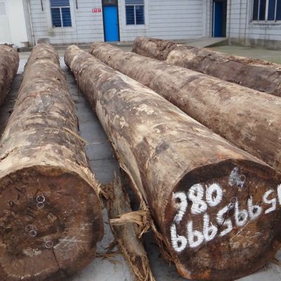 ইঞ্জিনিয়ারড বিড়াল কাঠের ফিনিয়ার 205S/205C গ্রেড এ জন্য অভ্যন্তরীণ রপ্তানি স্ট্যান্ডার্ড জন্য দরজা এবং মন্ত্রিসভা মুখ