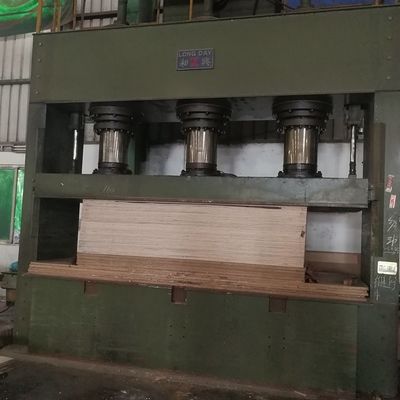 ফ্যান্সি প্যানেল মুখোমুখি প্রাকৃতিক অ্যাশ অলিভার চতুর্থাংশ কাটা সোজা শস্য দৈর্ঘ্য 2745mm রঙ মুক্ত জন্য মন্ত্রিসভা এবং আসবাবপত্র