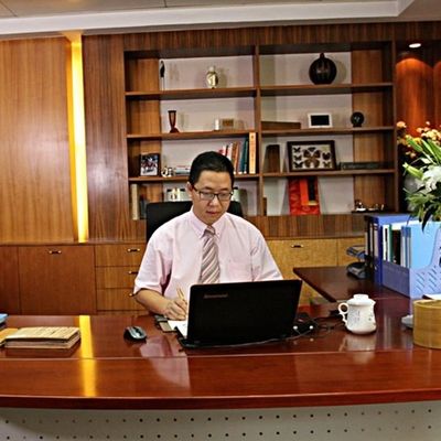 কৃত্রিম কাঠের ব্যহ্যাবরণ কালো মুক্তা গাঢ় রঙ BP-X0003 অভ্যন্তরীণ দরজার স্কিন 0.15-0.55 মিমি এর জন্য