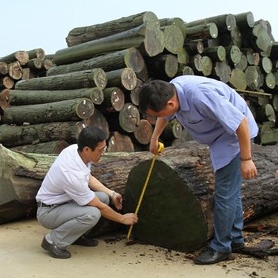 OH-X4343 হটেলের সজ্জা জন্য অস্বাভাবিক টেক্সচার
