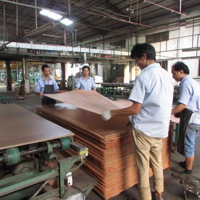 হাই-এন্ড ইঞ্জিনিয়ারিং কাঠের ফিনিয়ার তীর AW-X4623 এক্সোটিক গ্রেড 2850-3100mm পুরো টুকরা উচ্চ দরজা মুখের জন্য চীন তৈরি