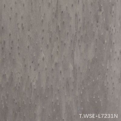 লগউড পুনর্গঠিত ডেকোরেটিভ ইঞ্জিনিয়ার্ড কাঠের ভিনিয়ারের নতুন ডিজাইন TSP-L0231N/l7231N গাড়ির অভ্যন্তরের জন্য ০.৫ মিমি পুরুত্ব
