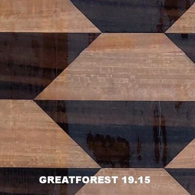 আর্টিস্টিক পারquet কাঠ ভেনিয়ার জ্যামিতিক নান্দনিক অনুভূতি জনপ্রিয় জ্যামিতিক চিত্র 0.50 মিমি পুরুত্ব কাঠের দরজার জন্য