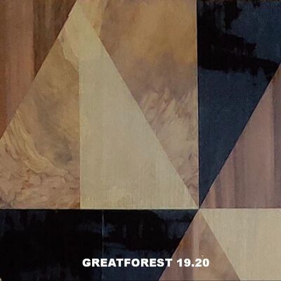 শিল্পীসুলভ পারкет কাঠের ভেনিয়ার প্রতিসাম্য কোলাজ জ্যামিতিক নকশা রঙে সমৃদ্ধ কাঠের চিত্রকর্ম ০.৫৫মিমি