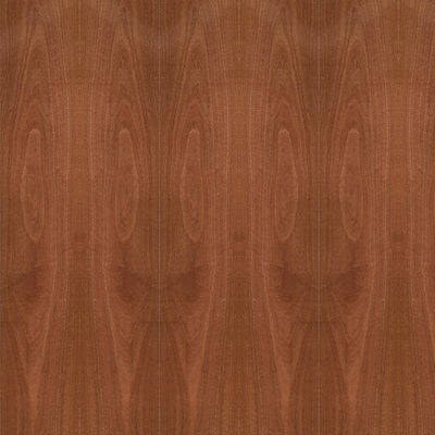 অভিনব পাতলা পাতলা কাঠ প্রাকৃতিক Sapele কাঠ ব্যহ্যাবরণ ক্রাউন শস্য 5 / 9 / 12 / 15 / 18 / 25 / 30 মিমি